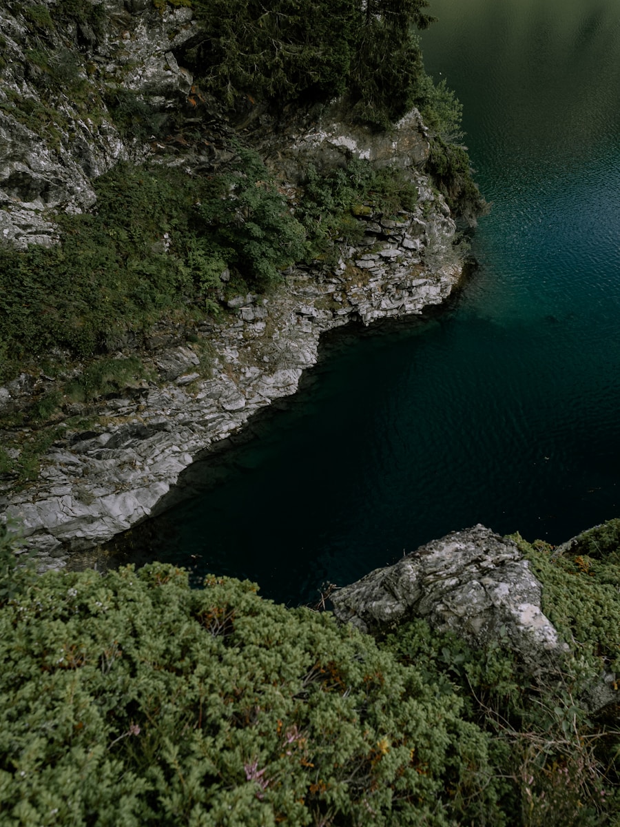 Découvrir les secteurs d’excellence de la région Rhône-Alpes